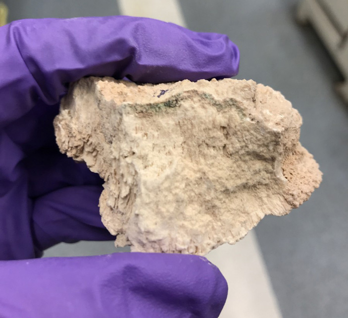 Рис. 1. Образец гипса из пустыни Атакама