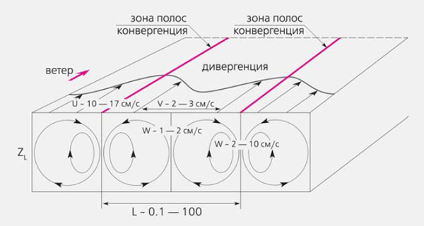 Рис. 2. Схема течений в циркуляционных ячейках Ленгмюра. Вблизи поверхности конвергенции располагаются в ветровых полосах, а дивергенции — между ними. W, U и V — вертикальная, продольная и поперечная (относительно направления полос) составляющие скорости; L — расстояние между соседними ветровыми полосами (поперечный размер ячейки); ZL — глубина проникновения циркуляций. Изображение: «Природа»