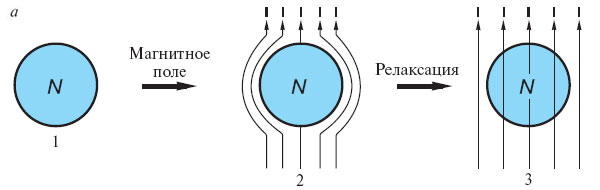 а — нормальный проводник, обладающий отличным от нуля сопротивлением при любой температуре (1), внесен в магнитное поле. В соответствии с законом электромагнитной индукции возникают токи, которые сопротивляются проникновению магнитного поля в металл (2). Однако если сопротивление отлично от нуля, они быстро затухают. Магнитное поле пронизывает образец нормального металла и практически однородно (3)