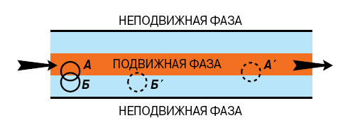 Через слой неподвижной фазы, покрывающий внутреннюю поверхность капиллярной трубки, течёт подвижная фаза. Компонент А разделяемой смеси обладает большим сродством к подвижной фазе, а компонент Б — к неподвижной фазе. А\&\#39\; и Б\&\#39\; — положения зон тех же компонентов через некоторый промежуток времени. Изображение: «Наука и жизнь»