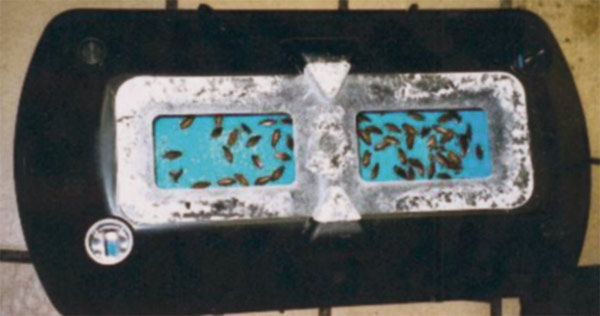 Рис. 8. Электростатическая ловушка для тараканов. Изображение: «Квант»