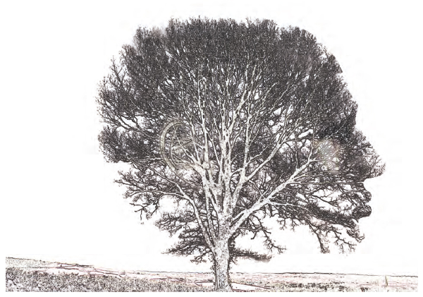 Как работает мозг