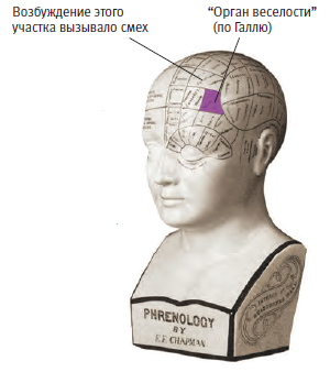 Как работает мозг