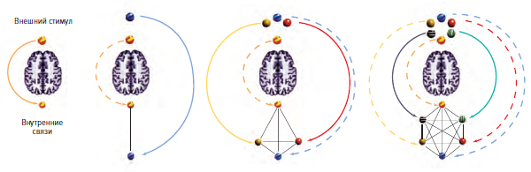 Воздействие чего-либо происходящего в окружающем мире на наши органы чувств меняет наше последующее восприятие этого явления, что, в свою очередь, влияет на реакцию наших органов чувств, меняя наше восприятие.