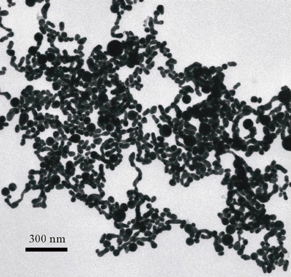 <b>Рис. 4.</b> Микрофотография наночастиц золота, полученных при облучении лазером золотой мишени в водном растворе соли цезия-137 (эксперимент 2011 года)