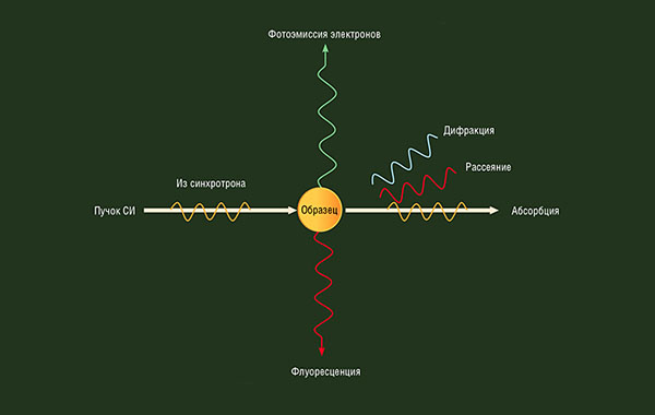 Разнообразие вариантов взаимодействия синхротронного излучения с веществом («Наука из первых рук» №2(62), 2015)