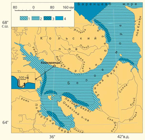 Схема строения ледяного покрова Белого моря зимой («Природа» №1, 2015)