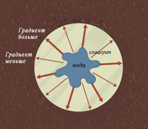 Водяные звёзды («Квантик» №10, 2015)
