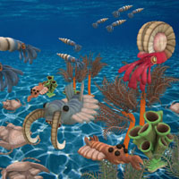 Кембрийский взрыв