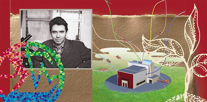 Сибирский оплот вейсманистов-морганистов («Наука из первых рук» №2/3 (74), 2017)