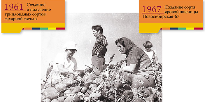 В. К. Шумный на уборке свеклы («Наука из первых рук» №2/3 (74), 2017)