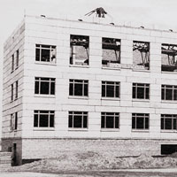 Сибирский оплот вейсманистов-морганистов