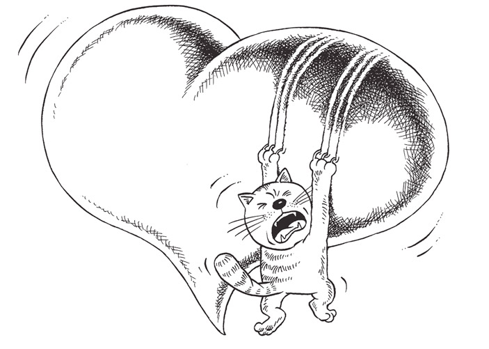 Чтобы держать кота, нужно быть немного мазохистом. Рис. М. Смагина («ТрВ» №11(230), 06.06.2017)