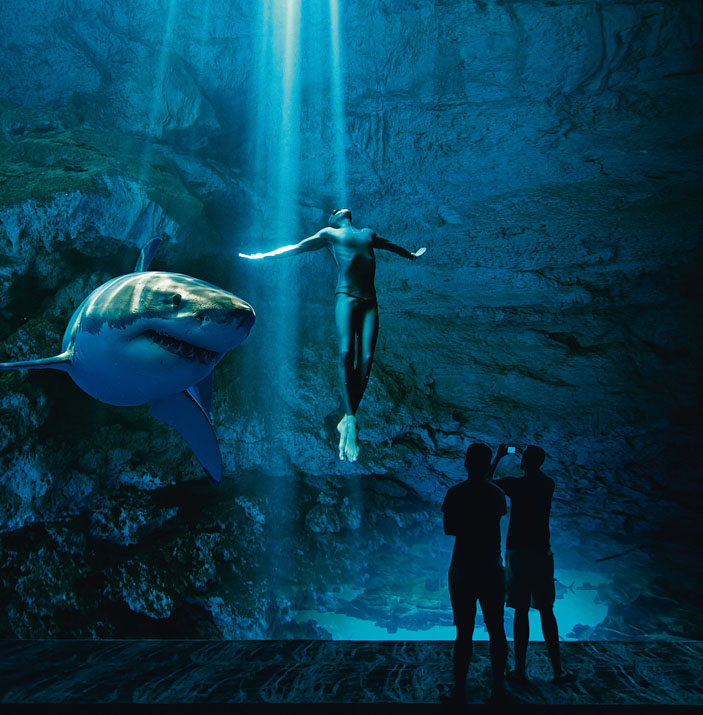 Акула в аквариуме («Популярная механика» №12, 2017)