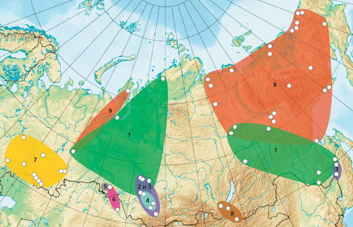 Ареалы выявленных генетических линий дождевых червей подвида E. n. nordenskioldi (Природа» №5, 2016)