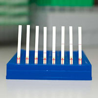 CRISPR: битва титанов и новая надежда