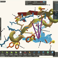 От науки к интернет-играм: коллективное решение биоинформатических задач