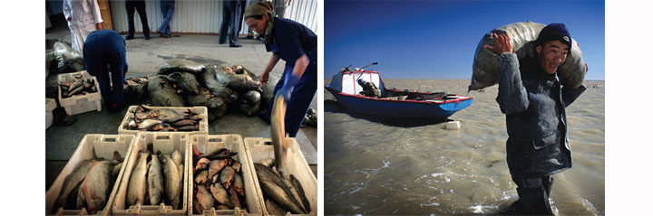 Заработал и рыбозавод в Заработал и рыбозавод в городе Аральск, способствуя росту местной экономики. Изображение: «В мире науки»