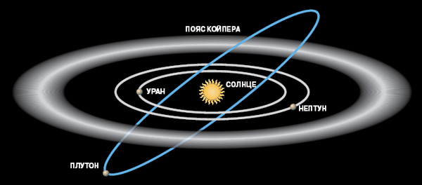 Пояс Койпера расположен за орбитой Нептуна. © Рисунок Зои Флоринской