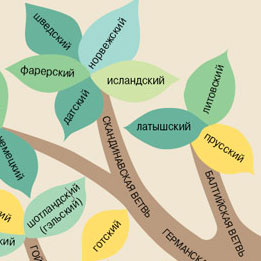 О профессиональной и любительской лингвистике