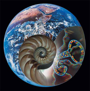 Изображение «Экология и жизнь»