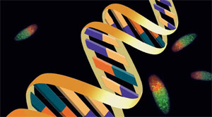 Изображение «Экология и жизнь»