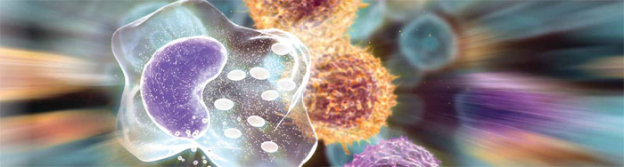 Изображение «Экология и жизнь»