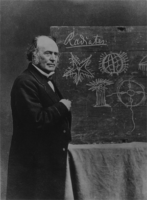 Рис. 10. Лекция Л. Агассиса. Из коллекции библиотеки Эрнста Майра, Музей сравнительной анатомии при Гарвардском университете. © President and Fellows of Harvard College