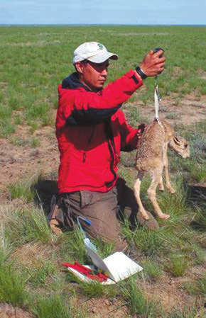 Альберт Салемгареев. Технический координатор природоохранной инициативы «Алтын-Дала»