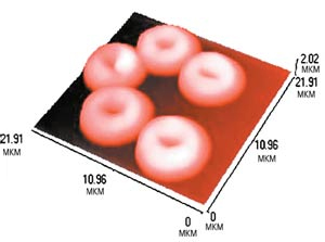 Эритроциты крови человека. Их прочная оболочка на 23% состоит из холестерина. Изображение получено на атомно-силовом микроскопе Top ometrix AccurexTM (США) в лаборатории сканирующей зондовой микроскопии научно-образовательного центра «Физика твёрдотельных наноструктур» Нижегородского государственного университета им. Н.И.Лобачевского (НОЦ ФТНС ННГУ). Авторы — Ю.Ю.Гущина, С.Н.Плескова. Изображение: «Наука и жизнь»
