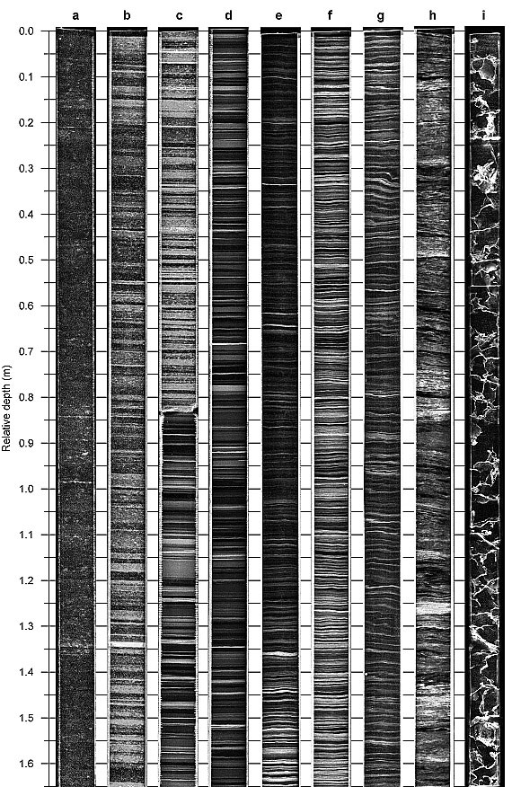 Примеры изменения структуры ледяных кернов с глубиной, NorthGRIP, Гренландия. Размер каждой секции: длина 1,65 м, ширина 8–9 см (по Svensson et al., 2005)