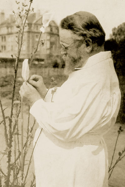 Карл Корренс (1864–1933) — немецкий ботаник и генетик, вновь открывший и проверивший законы наследственности Менделя