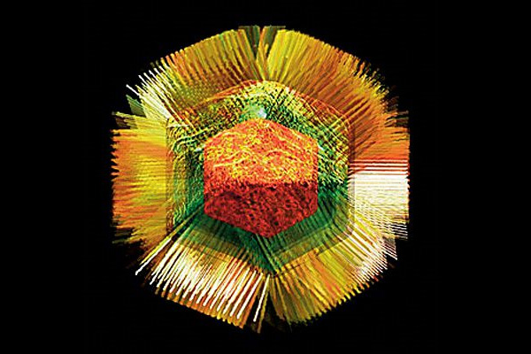 <b>Мимивирус <i>Acanthamoeba polyphaga mimivirus</i> </b><br> Самый большой известный геном вируса. Геном: 1 181 404 пар оснований. Генов: 979