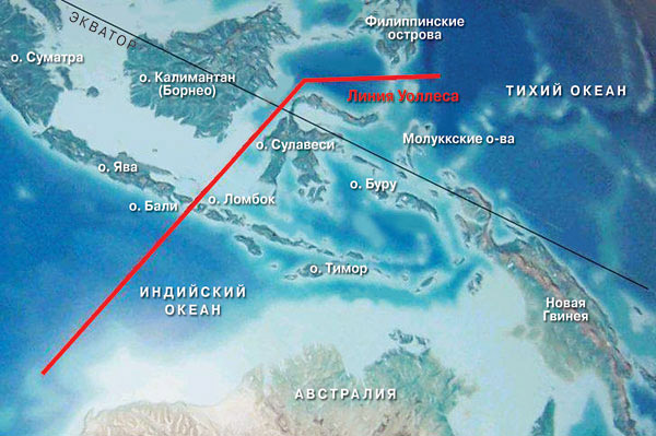 Переплывшие моря и океаны ("Наука и жизнь", №8, 2015)