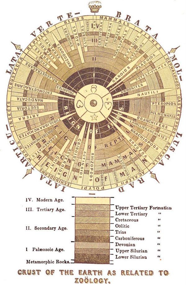 Рис. 2. История развития животного мира; иллюстрация из книги Л. Агассиса «Principles of Zoology» (1848)