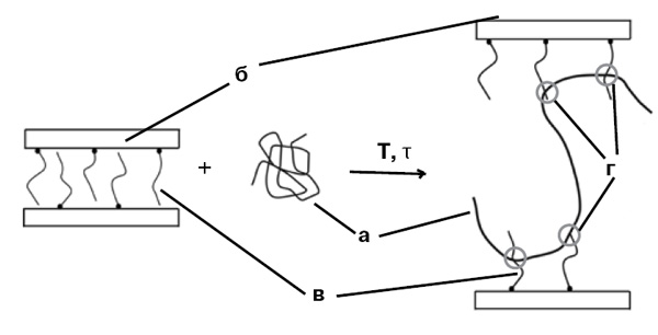 <b>Рис. 7.</b> Взаимодействие макромолекул полимера (<b>а</b>) в расплаве со слоистым глинистым минералом (<b>б</b>), модифицированным органическим ПАВ (<b>в</b>), <i>серые окружности —</i> зоны межмолекулярного взаимодействия (<b>г</b>)