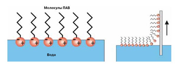 <b>Рис. 8.</b> Схема пленки Ленгмюра—Блоджетт и ее переноса на поверхность