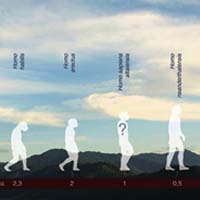 Родословная человечества: теории и факты