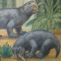 Листрозавр с Ветлуги