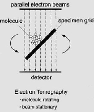 Рис. 1. Принцип электронной томографии. Рисунок из книги J. Frank «Electron Tomography: Methods for Three-Dimensional Visualization of Structures in the Cell»