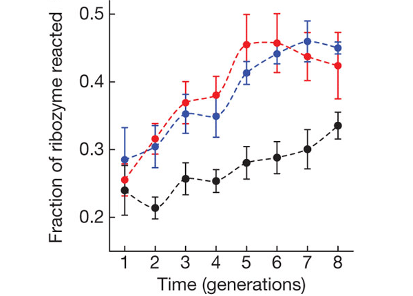 Приспособление популяций A (красные кружки), B (синие) и WT (черные) к новому субстрату. По горизонтальной оси — поколения, по вертикальной — приспособленность, измеряемая долей рибозимов, которым удалось разрезать субстрат. Рисунок из обсуждаемой статьи в Nature