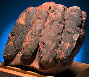 Даже самые крупные динозавры откладывали сравнительно небольшие яйца. На рисунке: яйца двуногого хищного динозавра (фото с сайта www.stonecompany.com)