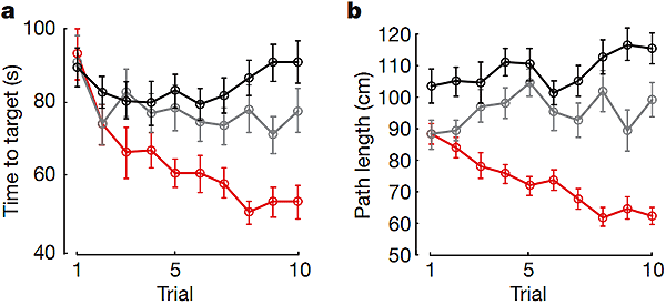 Рис. 2. a — график изменения времени (в секундах), потраченного на поиски цели (time to target), от первого к десятому опыту. b — график изменения длины пути к цели в сантиметрах (path lenght) от первого к десятому опыту. По оси абсцисс — номер опыта (trial). Изображение из обсуждаемой статьи в Nature
