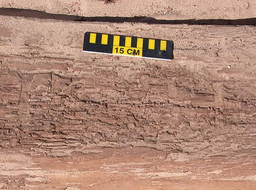 Символы на деталях, по-видимому, помогали плотникам заново собрать корабль после транспортировки поп пустыне (фото с сайта www.livescience.com)