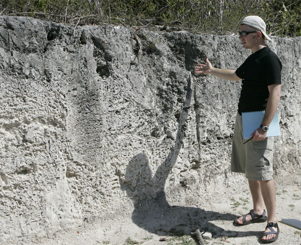 Ископаемые коралловые рифы во Флориде — каменная летопись эволюции. Там же во Флориде активно обсуждаются законодательные акты, открывающие возможности для преподавания креационизма в учебных заведениях. Возможно, законникам следует поездить по своему штату с геологическими экскурсиями, тогда они будут более обдуманно говорить об отсутствии доказательств теории эволюции. Фото с сайта byunews.byu.edu