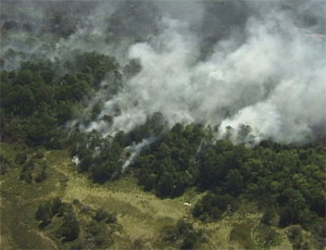 Оказывается, количество метана, образующееся при горении, 1000 лет назад было таким же, как в наши дни (фото с сайта www.vcrlter.virginia.edu)