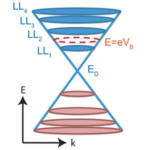 Рис. 2. Схематическое изображение закона дисперсии квазичастиц в графене в магнитном поле, или уровней Ландау для электронов (синие окружности) и дырок (коричневые окружности). Энергия каждого уровня отсчитывается от энергии в дираковской точке ED — точке соприкосновения валентной и проводящей зон (см. пояснения в тексте). Рис. из обсуждаемой статьи в Science