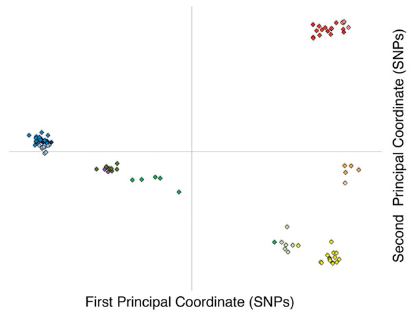 Рис. 4. Генетическое разнообразие зеленых пеночек, сведенное к двум координатам при помощи метода главных компонент