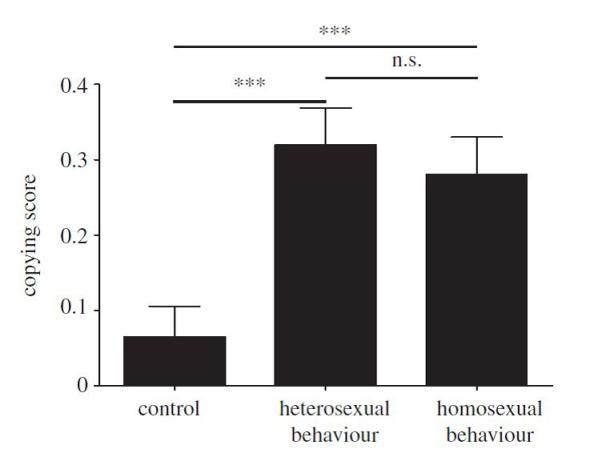 Рис. 2. Предпочтения самок мексиканской пецилии в поведенческих экспериментах с предъявлением анимационных моделей