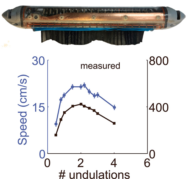Рис. 2. Модель — робот с плавником